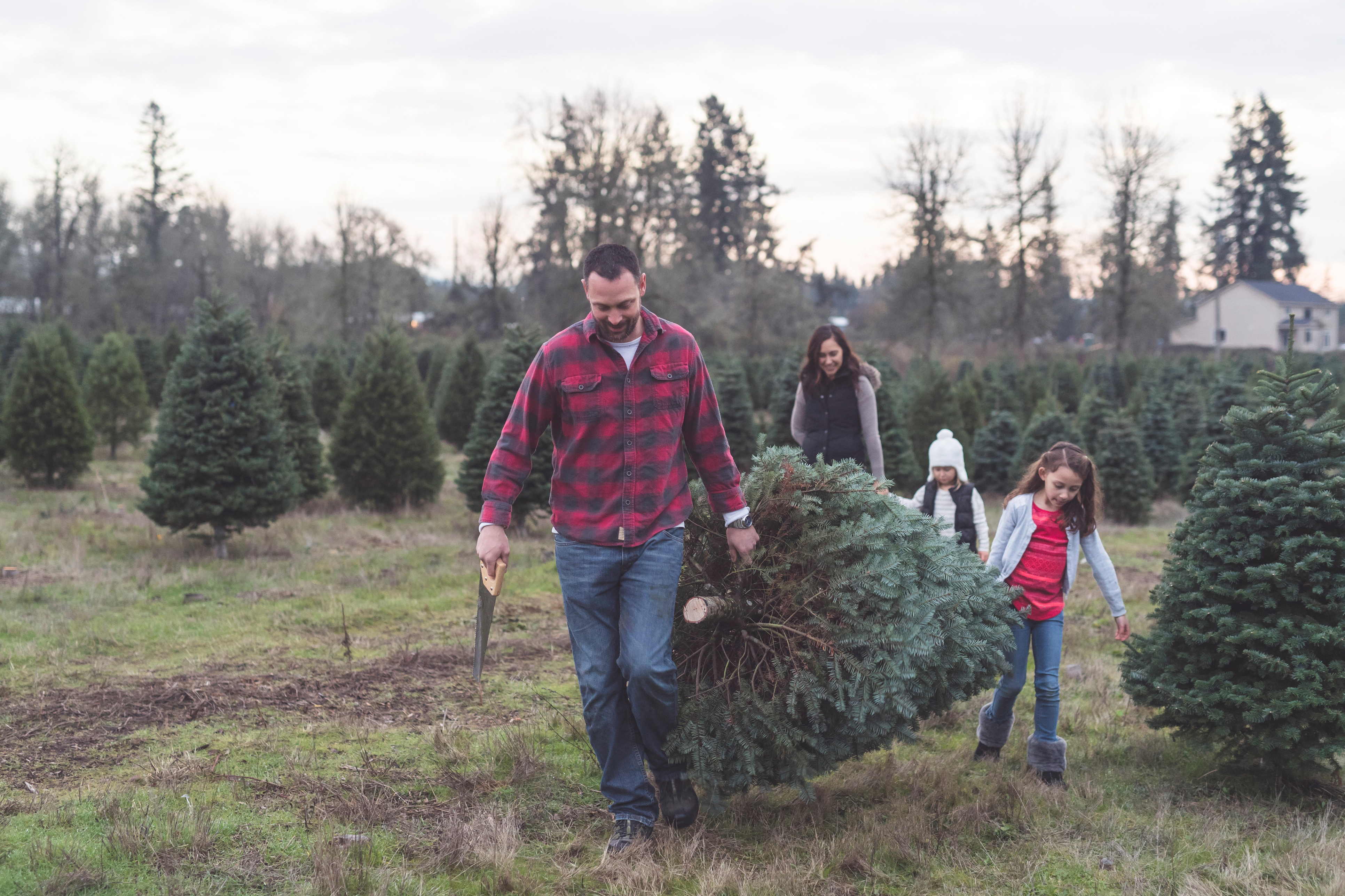 family carrying a christmas tree
