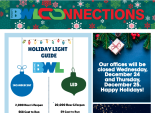 4 boxes with text in them, community newsletter