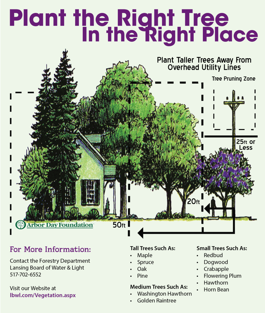 A diagram demonstrating the ideal distance between trees and power lines.
